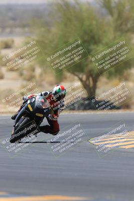 media/May-14-2023-SoCal Trackdays (Sun) [[024eb53b40]]/Turn 5 Tree of Life (1125am)/